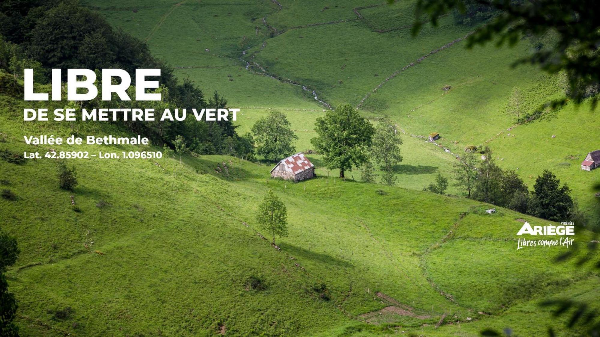 Les De Sylvie Apartment